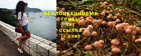 Альфа ПВП Алзамай