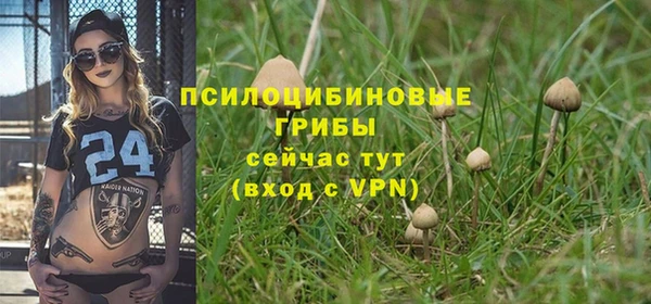 Альфа ПВП Алзамай