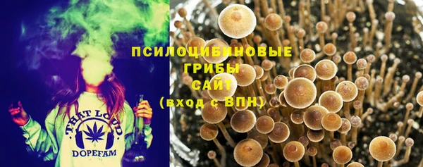 сатива Алексин