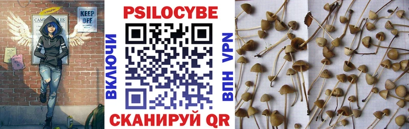 Псилоцибиновые грибы Psilocybe  Балабаново 