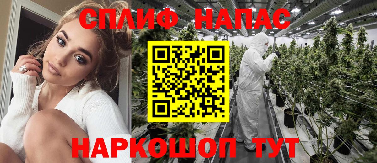 Канабис семена Балабаново